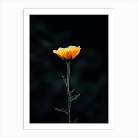 Single Yellow Flower 9 Art Print