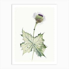 Burdock Herb Minimalist Watercolour 1 Art Print