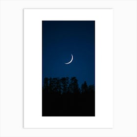 Magic night Art Print