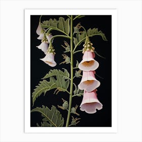 Flower Illustration Foxglove 2 Art Print