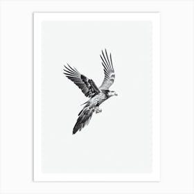 Golden Eagle B&W Pencil Drawing 4 Bird Art Print