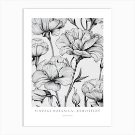 Geranium 2 B&W Vintage Botanical Poster Art Print