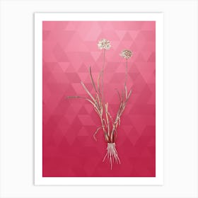 Vintage Allium Carolinianum Botanical in Gold on Viva Magenta n.0796 Art Print