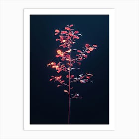 Tree In The Dark 35 Art Print