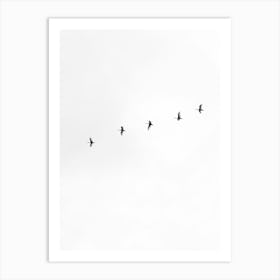 Flock Of Birds In Flight Art Print