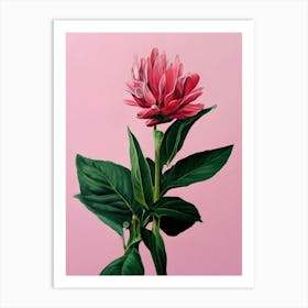 Pink Peony Art Print