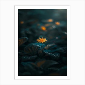 Flower In The Dark 24 Art Print