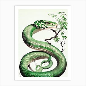 Green Tree Python Snake 1 Vintage Art Print