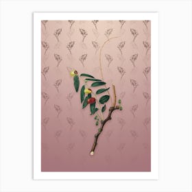 Vintage Jujube Botanical on Dusty Pink Pattern Art Print