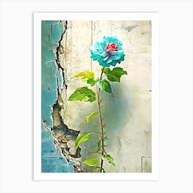 Rose On The Wall Art Print