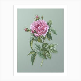 Vintage Pink French Rose Botanical Art on Mint Green n.0903 Art Print