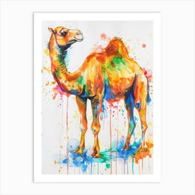 Camel Colourful Watercolour 1 Art Print