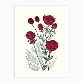 Red Clover Herb William Morris Inspired Line Drawing 1 Art Print