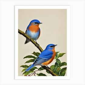 Eastern Bluebird James Audubon Vintage Style Bird Art Print