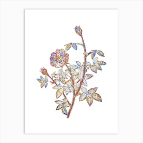 Stained Glass Moss Rose Mosaic Botanical Illustration on White n.0019 Art Print