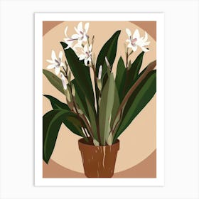 Orchid In A Pot Art Print