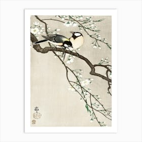 Tits On Cherry Branch (1900 1910), Ohara Koson Art Print