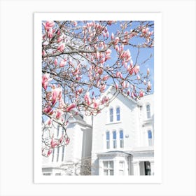 Blue Sky Magnolia Art Print