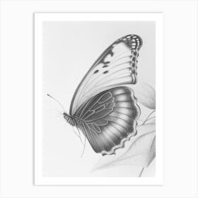 Butterfly In Migration Greyscale Sketch 1 Art Print