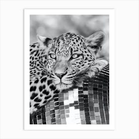 Disco Leopard Jaguar Animal Black White 3x4 Art Print