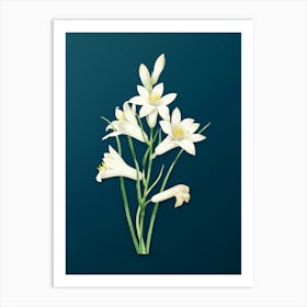 Vintage St. Bruno's Lily Botanical Art on Teal Blue n.0347 Art Print