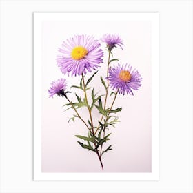 Pressed Flower Botanical Art Asters 3 Art Print