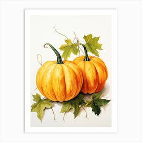 Jarrahdale Pumpkin Watercolour Illustration 2 Art Print