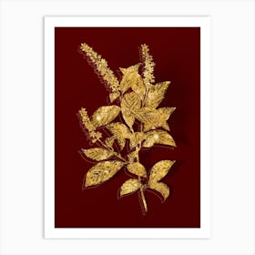 Vintage Virginia Sweetspire Botanical in Gold on Red n.0542 Art Print