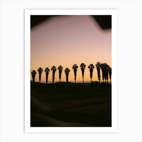 Palms of Portugal | Algarve Travel Photography Art Print
