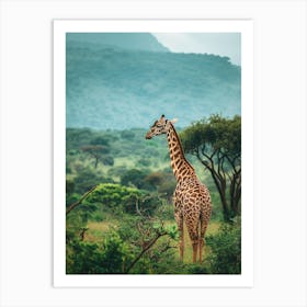 Giraffe In The Savannah 2 Art Print