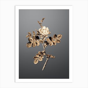 Gold Botanical Pink Sweetbriar Rose on Soft Gray n.0776 Art Print