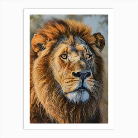 Barbary Lion Portrait Close Up 5 Art Print