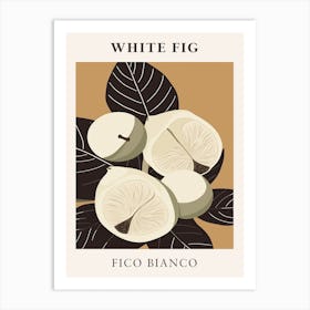 White Fig Art Print