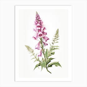 Foxglove Flower Vintage Botanical 2 Art Print