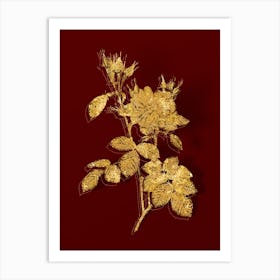 Vintage Autumn Damask Rose Botanical in Gold on Red Art Print