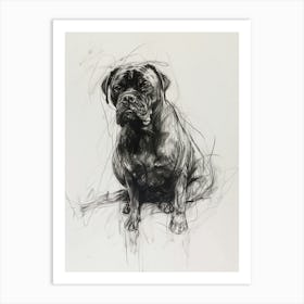 Bullmastiff Dog Charcoal Line 2 Art Print