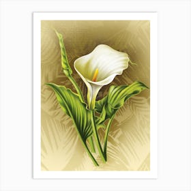 Calla Lily Art Print