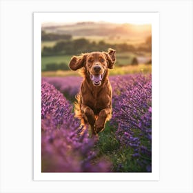 Dog Running In Lavender Field. Generated AI. Art Print Art Print