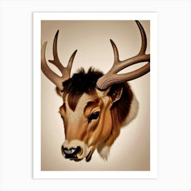 Deer Head 38 Art Print