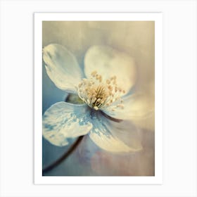 Pastel Nature Macro No 15 Art Print