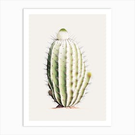Acanthocalycium Cactus Marker Art 1 Art Print