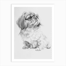 Pekingese Dog Line Sketch 4 Art Print