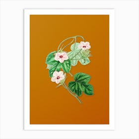 Vintage Aiton's Ipomoea Flower Botanical on Sunset Orange n.0606 Art Print