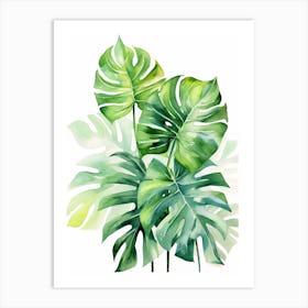 Monstera Leaves 1 Art Print