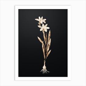 Gold Botanical Ixia Liliago on Wrought Iron Black n.0536 Art Print