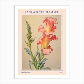 Snapdragon French Flower Botanical Poster Art Print