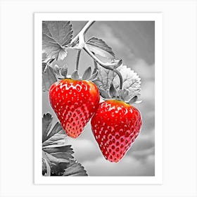 Two Strawberries On A Branch Art Print