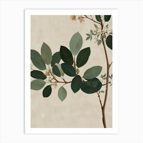 Eucalyptus Art Print