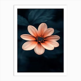 Pink Flower Wallpaper 1 Art Print