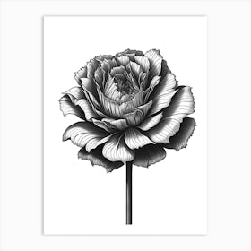 A Carnation In Black White Line Art Vertical Composition 26 Art Print